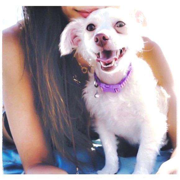 ◌ ⁺ ༟༟ T a l e s ⁺  。🌙 S E E D S   ♡ ⭐️ - Picture 4 of 7